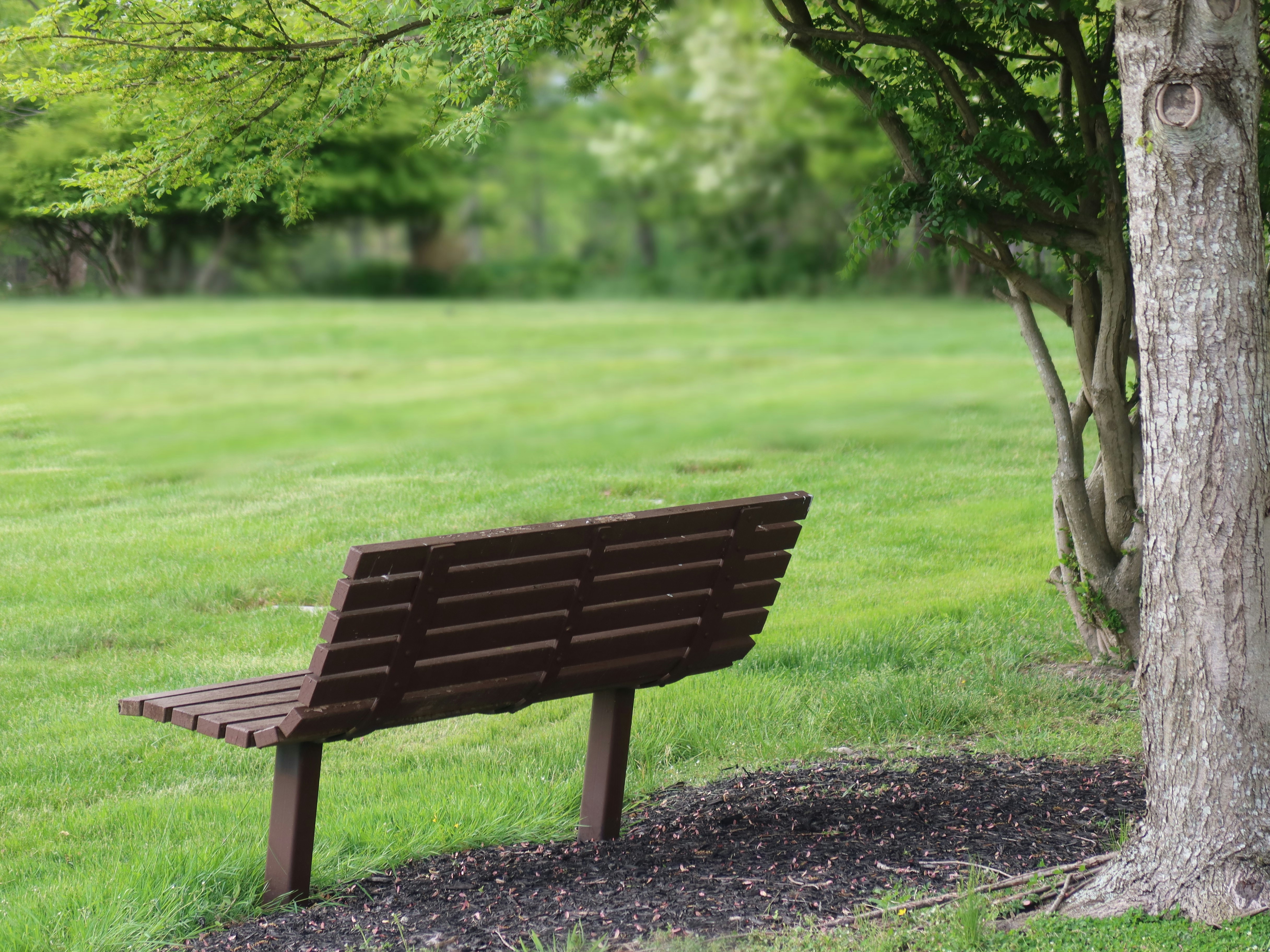 Understanding Modern Grave Care Services